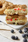 SPRING MACRO RECIPE BOOK | HARDCOVER
